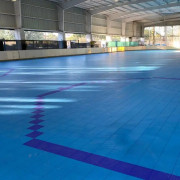 Dalles pour piste de roller Hockey