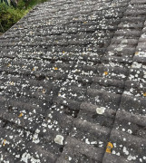 Démoussage et nettoyage de toiture