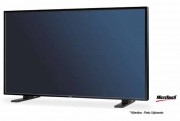 Ecran tactile LCD 40" - NEC