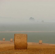 Filet agriculture balle ronde