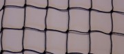 Filet protection anti oiseaux