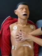 Formation initiale sur le Sauvetage Secourisme du Travail