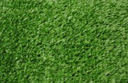 Gazon synthétique haute densité