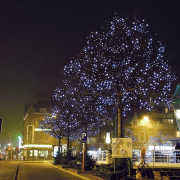 Guirlande lumineuse caoutchouc 10 m - 100 Leds - Blanc chaud ou Blanc froid