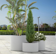 Jardinière béton cylindrique