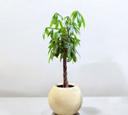 Jardinière sphérique design en polyester - Dim : 450 x 450 x H380 mm - Avec ou sans bac intérieur