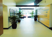 Lés ou dalles emboîtables