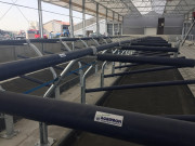 Logette d'élevage vache