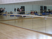 Miroir de danse mural - 1.80 m x 0.80 m - Epaisseur 6mm