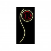 Décoration lumineuse