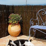 Palissade en bambou - Dim. L200 x H100 cm