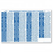 Panneau d'affichage équivalence poissonnerie