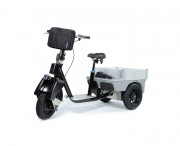 Tricycle électrique professionnel 48v - 25 km/h