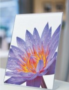 Présentoir pour brochures de table - Format A4 à A6