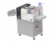 Raineuse perforatrice Multigraphe