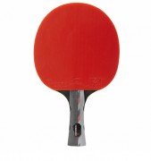 Raquettes de ping pong