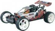 Reely buggy essence RtR 1/6 FG Baja