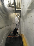 Rénovation peinture usine pharmaceutique