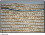 Sac en filet tricoté pour oignons