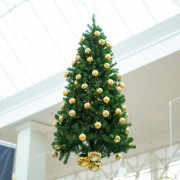 Sapin de Noël vert - Hauteur : 180 à 350 cm