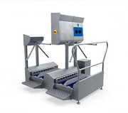 Sas d'hygiène duo - Semelles et mains