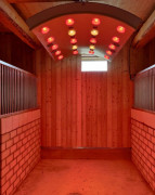 Solarium pour chevaux