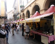 Stand buvette pliante