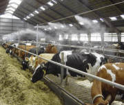 Système de brumisation pour bâtiments d’élevage