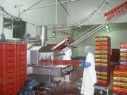 Système de lavage de bacs sur convoyeur aérien