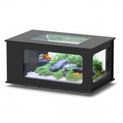 Table basse aquarium