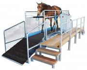 Tapis d’entrainement trotteur pour chevaux