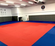 Tatamis pour Judo MMA Karaté et Aikido