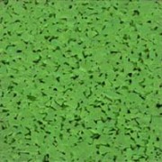 Terrains multisports