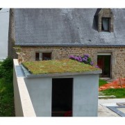 Toiture végétalisée