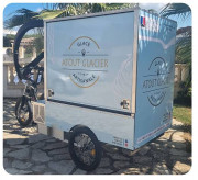 Triporteur pour vente de glace - En alu et inox - Vitrine : jusqu'à 10 bacs