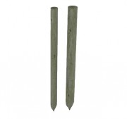 Tuteur bois en pin traité