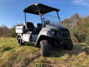 Véhicule utilitaire électrique à 2 places