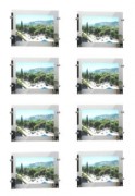 Vitrine agence immobilière 8 portes affiches