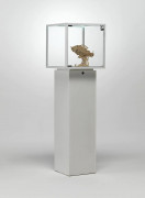 Vitrine cloche avec meuble