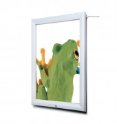 Vitrine d’affichage LED - Format A2, A1, 500x700 mm ou 700x1000 mm