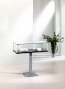 Vitrine d'exposition table verre