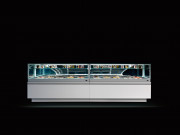 Vitrine réfrigérée pour conservation de la glace