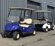 Voiturette de golf 2 places cargo