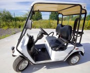Voiturette électrique de golf 2 places