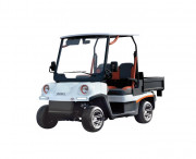 Voiturette électrique homologuée route - Capacité de chargement 160 kg