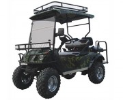 Voiturette électrique polyvalente 4 places