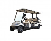 Voiturette électrique pour golf