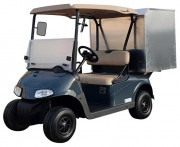 Voiturette électrique utilitaire fourgon tôlé